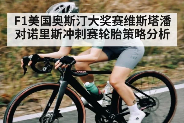 F1美国奥斯汀大奖赛维斯塔潘对诺里斯冲刺赛轮胎策略分析